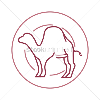 Camel Camel