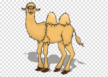 Camel Animation Cartoon , Camel transparent background PNG clipart Camel Animation Cartoon , Camel transparent background PNG clipart