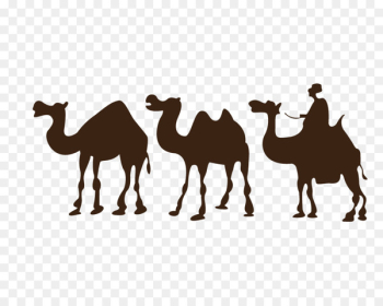 Camel Desert Drawing Clip art - Camel Silhouette Camel Desert Drawing Clip art - Camel Silhouette