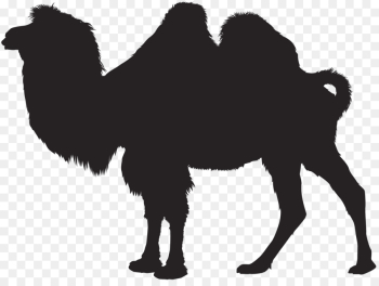 Camel, Royaltyfree, Silhouette, Camelid PNG Camel, Royaltyfree, Silhouette, Camelid PNG