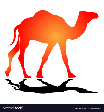 camel silhouette camel silhouette