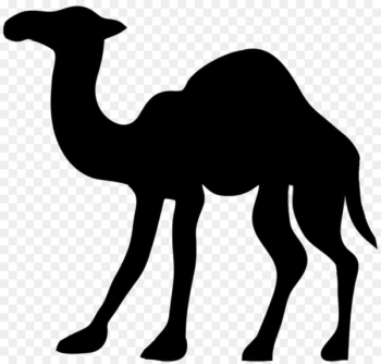 Camel Silhouette Clip art - camel Camel Silhouette Clip art - camel