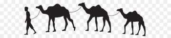 Camel train Caravan Clip art - Camel Caravan Silhouette PNG Clip Art 