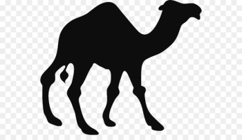 Camel Vector graphics Clip art Illustration Silhouette - camel 