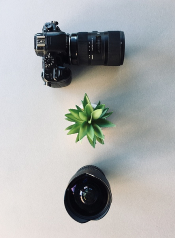 Camera and Succulent Plant Camera and Succulent Plant