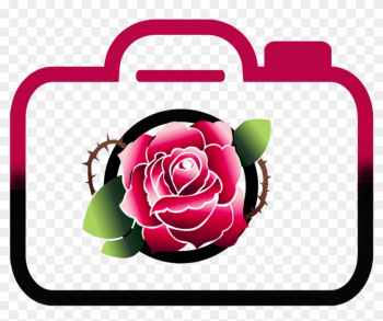 Camera Clipart Colourful - Camera Clipart Colourful Camera Clipart Colourful - Camera Clipart Colourful