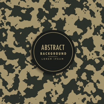 Camouflage background Camouflage background