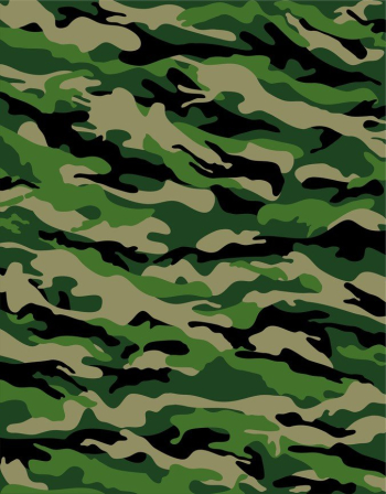 Camouflage Background Camouflage Background
