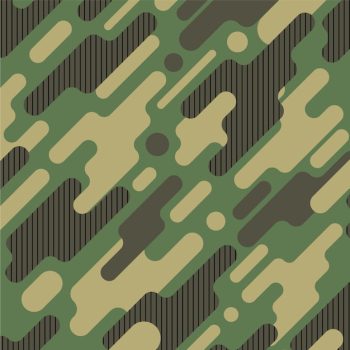 Camouflage pattern background Camouflage pattern background