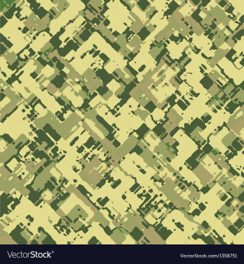 Camouflage vector image Camouflage vector image