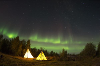 camping tent in forest during midnight camping tent in forest during midnight