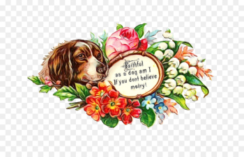 Can Stock Photo, Art Forms In Nature The Prints Of Ernst Haeckel, Copyright, Dog, Canidae PNG