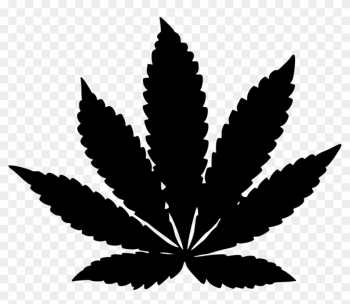 Canabis Plant Drug Leaf Nature Comments - Indica Leaf