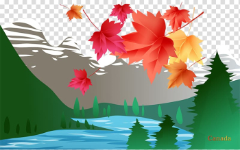 Canada Flower , Canada leaves transparent background PNG clipart