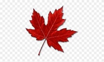 Canada Maple Leaf Clip Art - Canadian Maple Leaf Clipart Canada Maple Leaf Clip Art - Canadian Maple Leaf Clipart