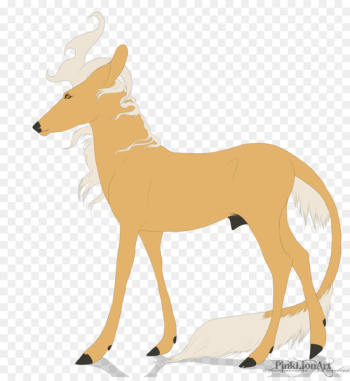 Canidae Deer Dog Antelope Mammal - deer Canidae Deer Dog Antelope Mammal - deer