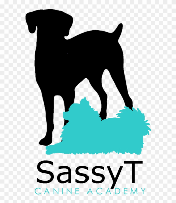 Canine Graduates Sassy T Canine Academy - Kassandra: Botin Der Liebe [book]