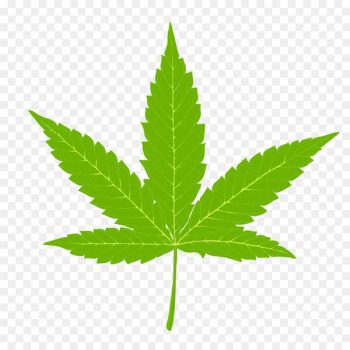 Cannabis Hemp Marijuana Clip art - Indian cannabis leaves illustrations 