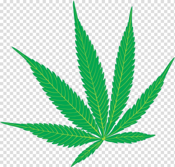 Cannabis leaf , Cannabis sativa Marijuana Hemp , Cannabis leaves illustrations transparent background PNG clipart