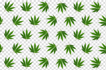 Cannabis , Leaf Hemp Cannabis, Cannabis leaves tiled transparent background PNG clipart