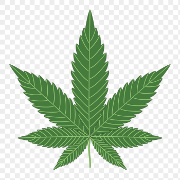 Cannabis leaf png sticker, botanical | Free PNG - rawpixel