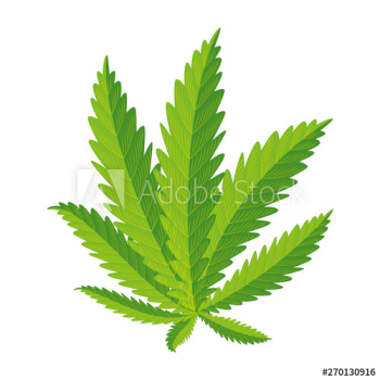 cannabis plant leafs nature icon cannabis plant leafs nature icon
