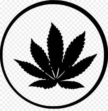 Cannabis ruderalis Cannabis sativa Cannabis cultivation Kush - cannabis 
