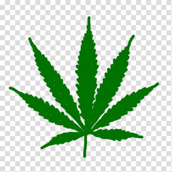 Cannabis ruderalis Leaf Medical cannabis , marijuana transparent background PNG clipart