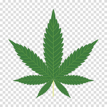 Cannabis sativa Hemp Legalization, cannabis transparent background PNG clipart