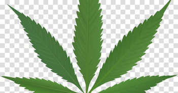 Cannabis sativa Legalization Hemp, cannabis transparent background PNG clipart