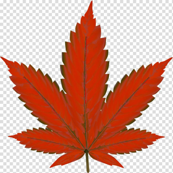 Cannabis smoking Joint Medical cannabis Hemp, cannabis transparent background PNG clipart