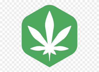 Cannabis Smoking Marijuana Cannabidiol Cannabis Shop - Cannabis Cannabis Smoking Marijuana Cannabidiol Cannabis Shop - Cannabis