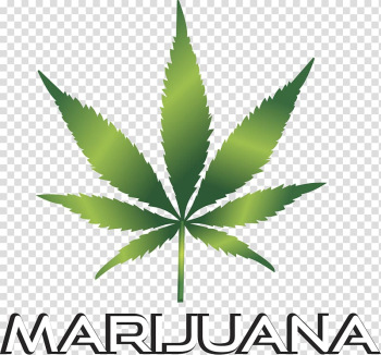 Cannabis smoking Medical cannabis , cannabis transparent background PNG clipart Cannabis smoking Medical cannabis , cannabis transparent background PNG clipart
