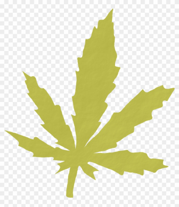Cannabis Smoking Medical Cannabis Legality Of Cannabis - Cannabis Smoking Medical Cannabis Legality Of Cannabis