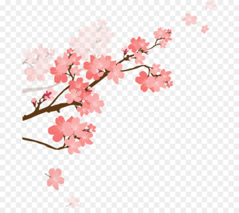 Capricorn Cherry blossom Zodiac Woman - capricorn Capricorn Cherry blossom Zodiac Woman - capricorn