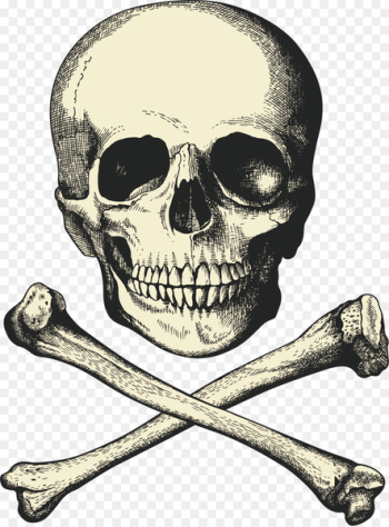 Captain Hook Piracy Buried treasure Ship - Skeleton vector Captain Hook Piracy Buried treasure Ship - Skeleton vector