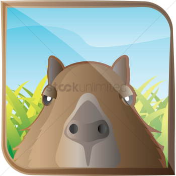 Capybara Capybara