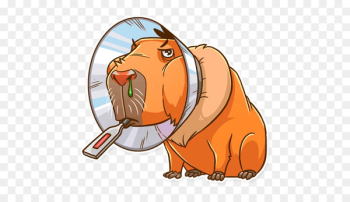 Capybara Telegram Sticker Snout Clip art - others Capybara Telegram Sticker Snout Clip art - others