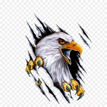 Car Mile High Harley-Davidson Motorcycle Decal - eagle Car Mile High Harley-Davidson Motorcycle Decal - eagle