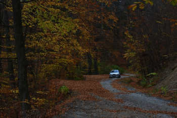 Car On The Road Car On The Road