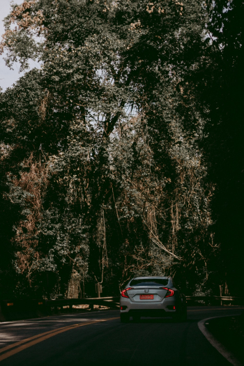 Car On The Road Car On The Road
