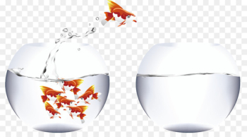 Carassius auratus Aquarium Fish Clip art - Aquarium and Fish Carassius auratus Aquarium Fish Clip art - Aquarium and Fish