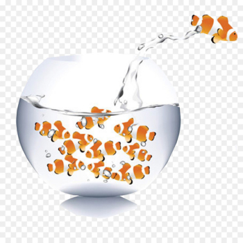 Carassius auratus Aquarium Ornamental fish - Aquarium fish tanks and bounce 