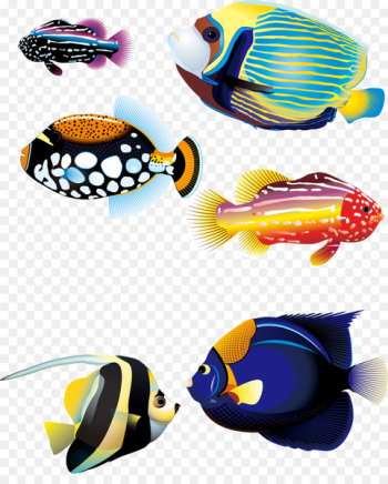 Carassius auratus Tropical fish Animal - Several colorful marine fish 