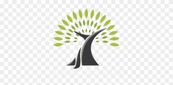 Cardiff Tree Services - Cardiff Tree Services Cardiff Tree Services - Cardiff Tree Services