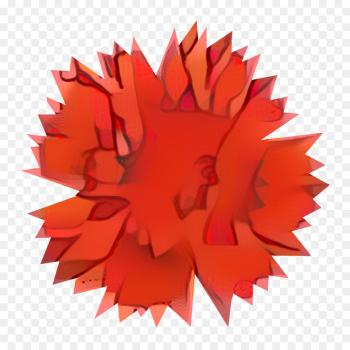Carnation, Computer Icons, Desktop Wallpaper, Red, Orange PNG