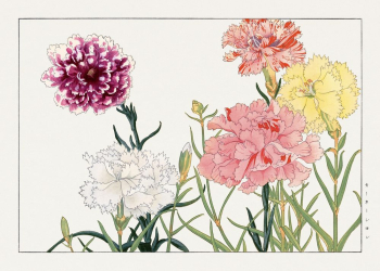 Carnation flower, Japanese woodblock art | Free Photo Illustration - rawpixel