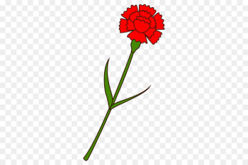 Carnation Vacuum cleaner HEPA Flower Home appliance -  