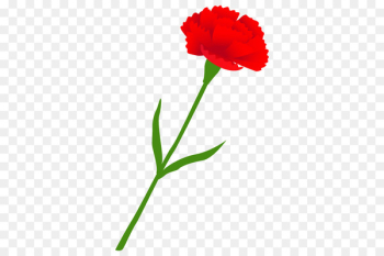 Carnation Vacuum cleaner HEPA Home appliance Flower -  