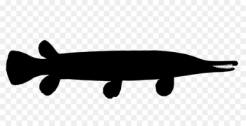 Carnivores Marine mammal Fauna Silhouette - Carnivores Marine mammal Fauna Silhouette -